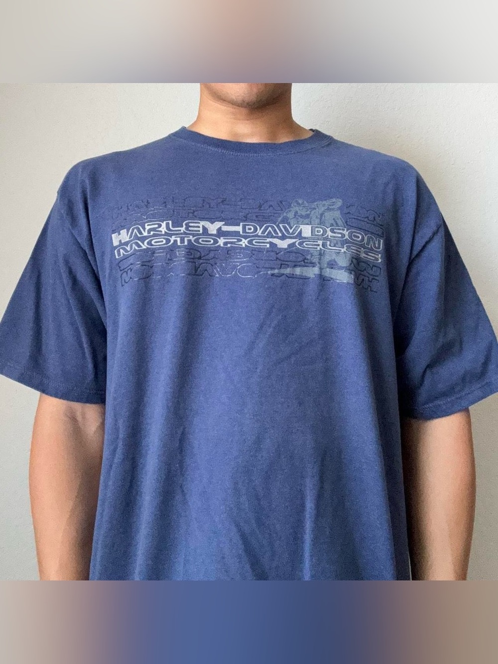 Vintage 1990s Harley Davidson Indiana Graphics Blue Tee Shirt